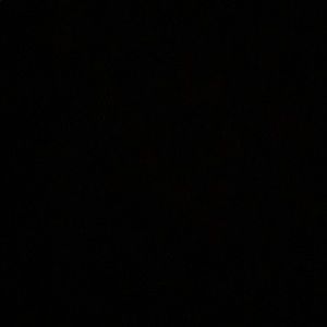 Meet your Posher, Claudia